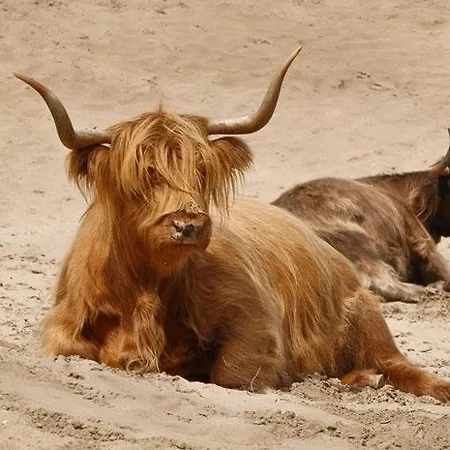 Casa Del Mar Appartement Zandvoort